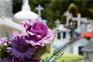 What would you like to ask about funerals and memorials?