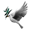 dove with olive branch md clr