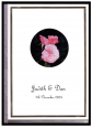 Plastic-Album-10-pocket
