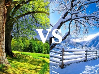 Should we get Married in Summer or Winter?