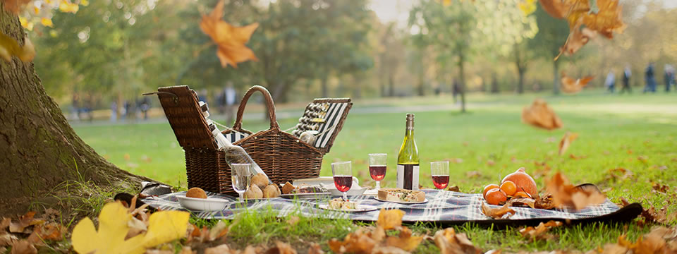 picnic-in-the-park-4.jpg