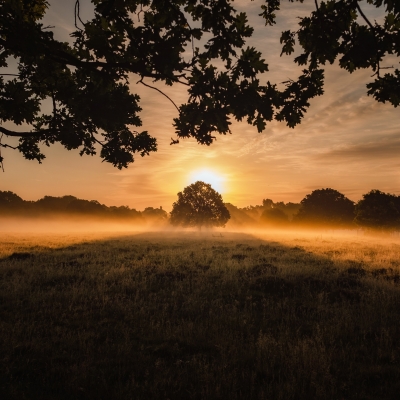 thumb_simon-wilkes-uh5oxbhnsng-unsplash thumb_simon-wilkes-uh5oxbhnsng-unsplash