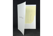 Presentation folders - gold printing