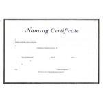 A4 white gold  certificate - naming