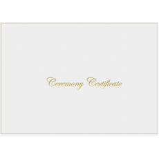 A4 White & Shiny Gold Ceremony envelope - No Rings x 1