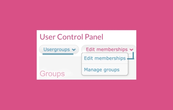 User groups section