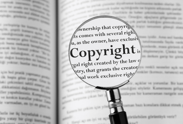 Copyright: Associations Licence Terms - CAL