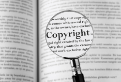 Copyright: Associations Licence Terms - CAL