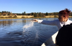 How to Scatter Ashes