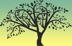Ceremonies can nurture the tree of life