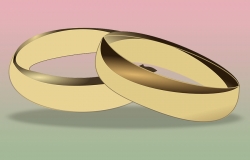 Civil unions and partnerships