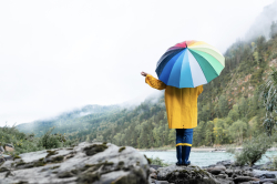 Individual celebrant insurance - What do you get for $129/ $99?
